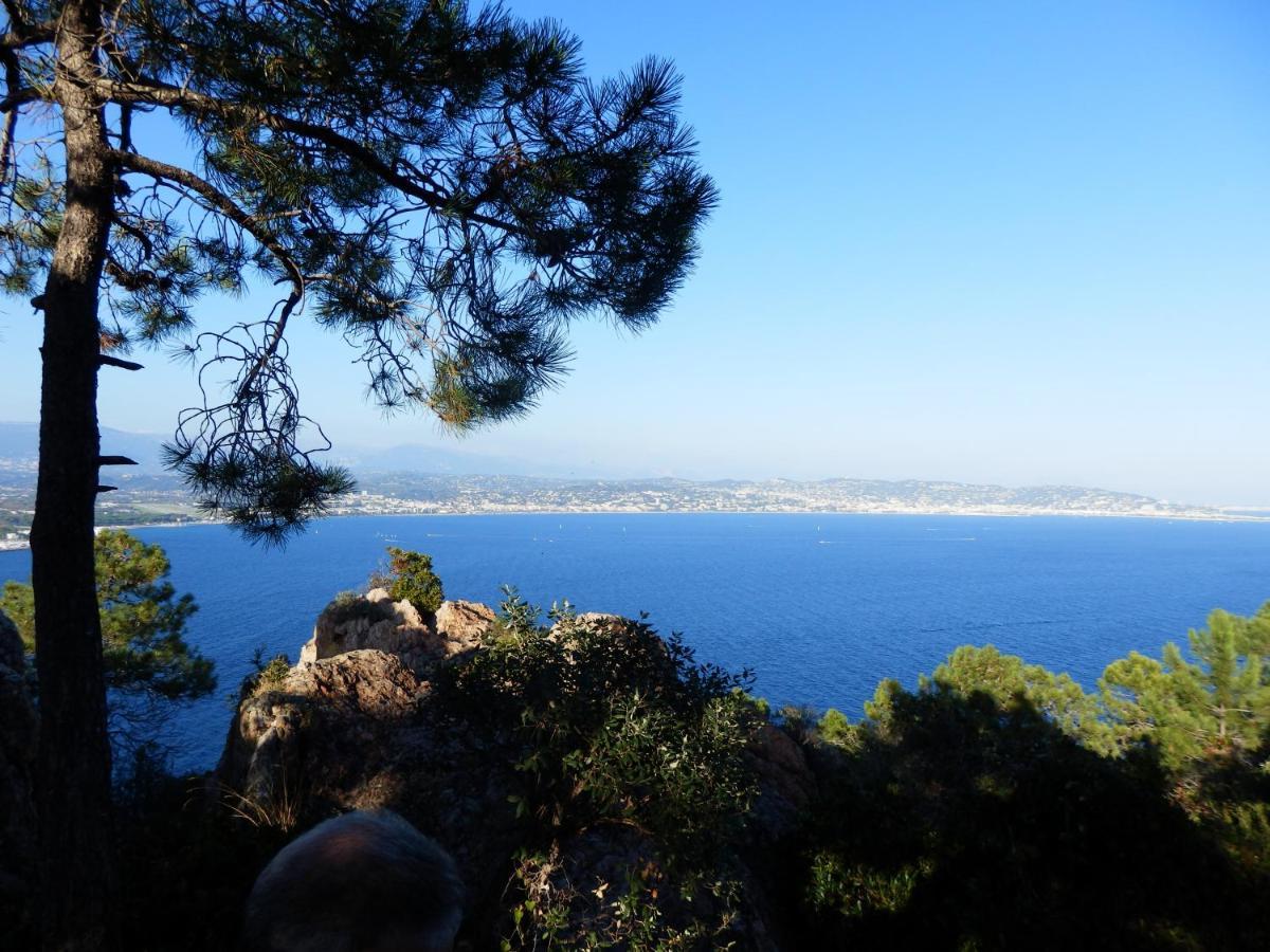 Esterel Terrasses, Roof Top, Plage, Parking Payant Cannes Extérieur photo