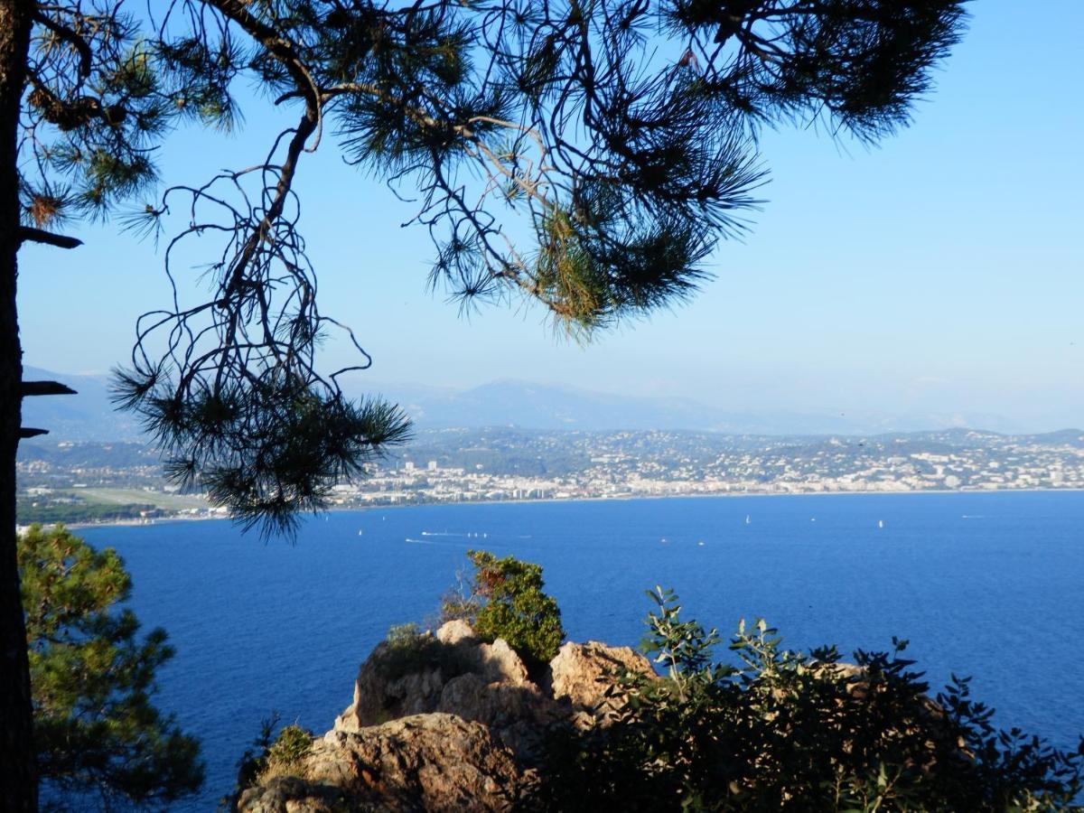 Esterel Terrasses, Roof Top, Plage, Parking Payant Cannes Extérieur photo
